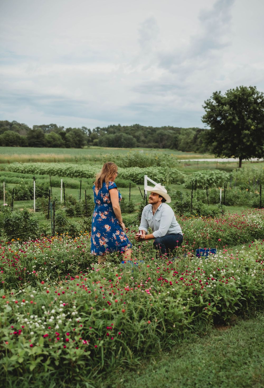 couple photo, engagement photo, flower field