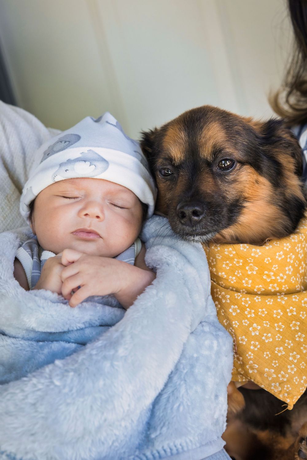 A dog wearing a yellow bandana rests next to an infant in a blue blanket and dolphin-print hat.