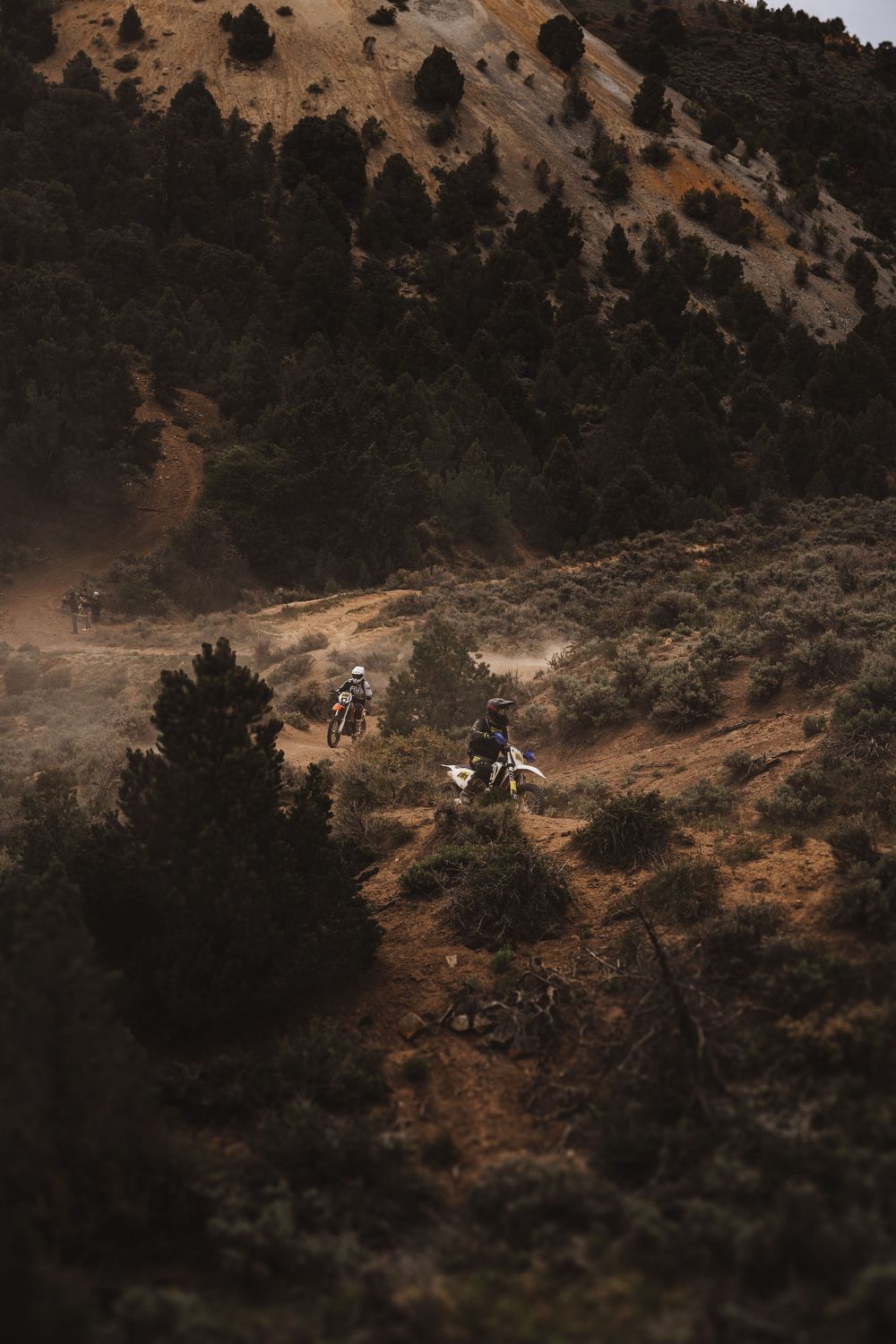 Multiple dirt bike riders race along a winding dusty mountain trail through shrubs and pine trees.
