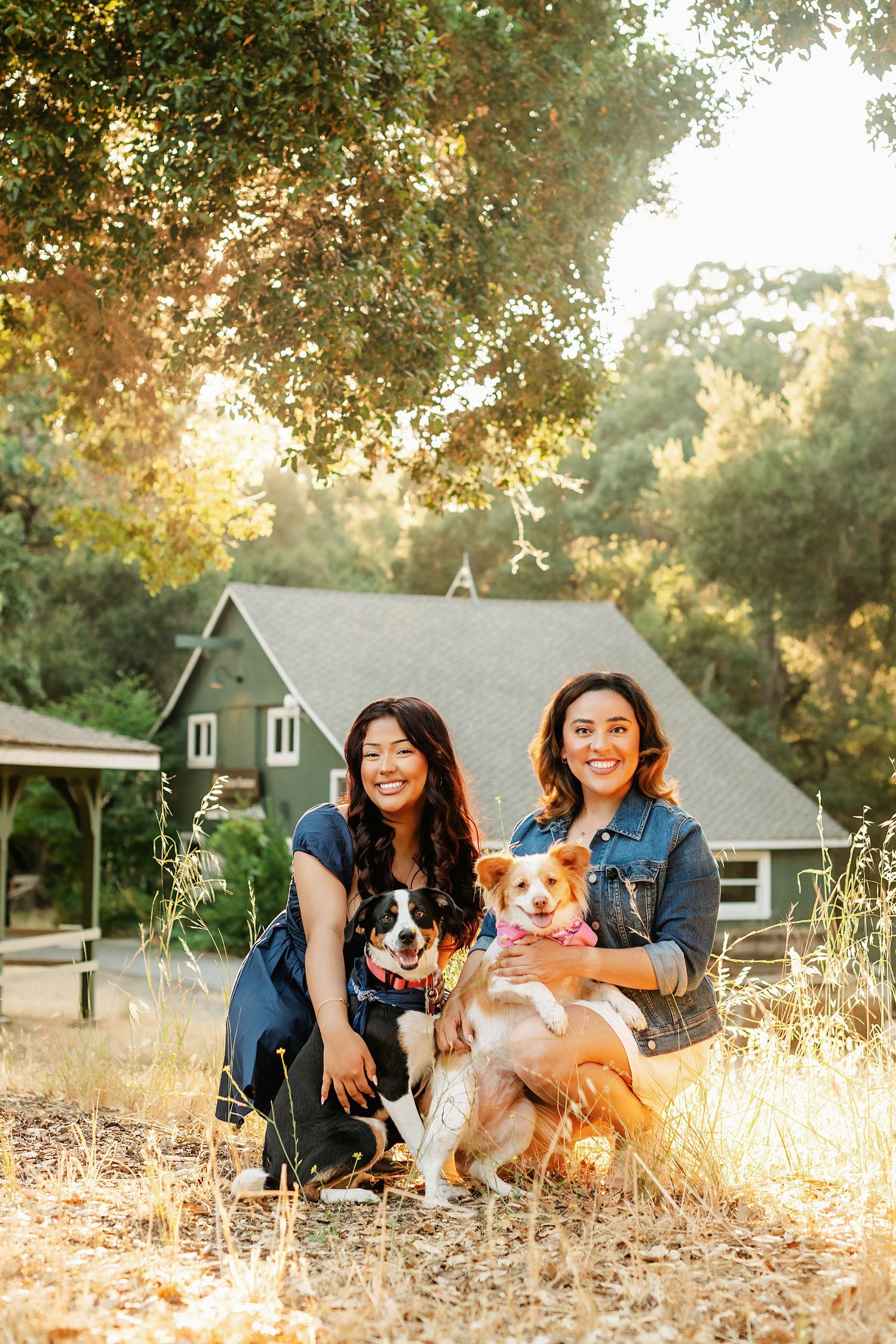 Two friends with their dogs sitting in golden sunlight near rustic house.