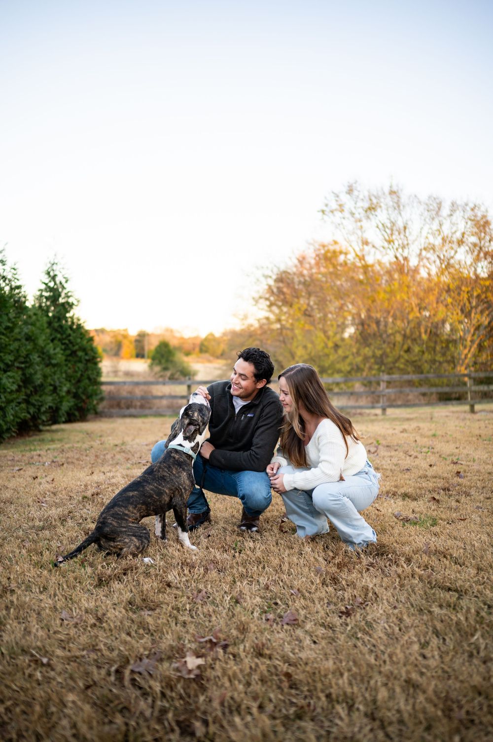 A couple playing with their black and white dog in a golden autumn field during sunset.