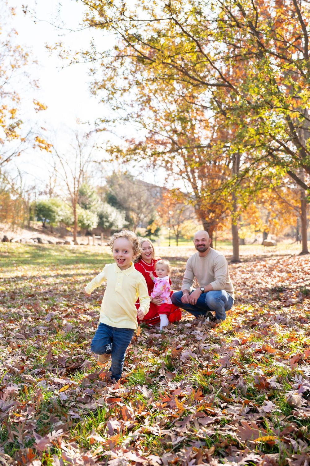 A family enjoys a playful autumn day together sitting in colorful fallen leaves under trees in a park.