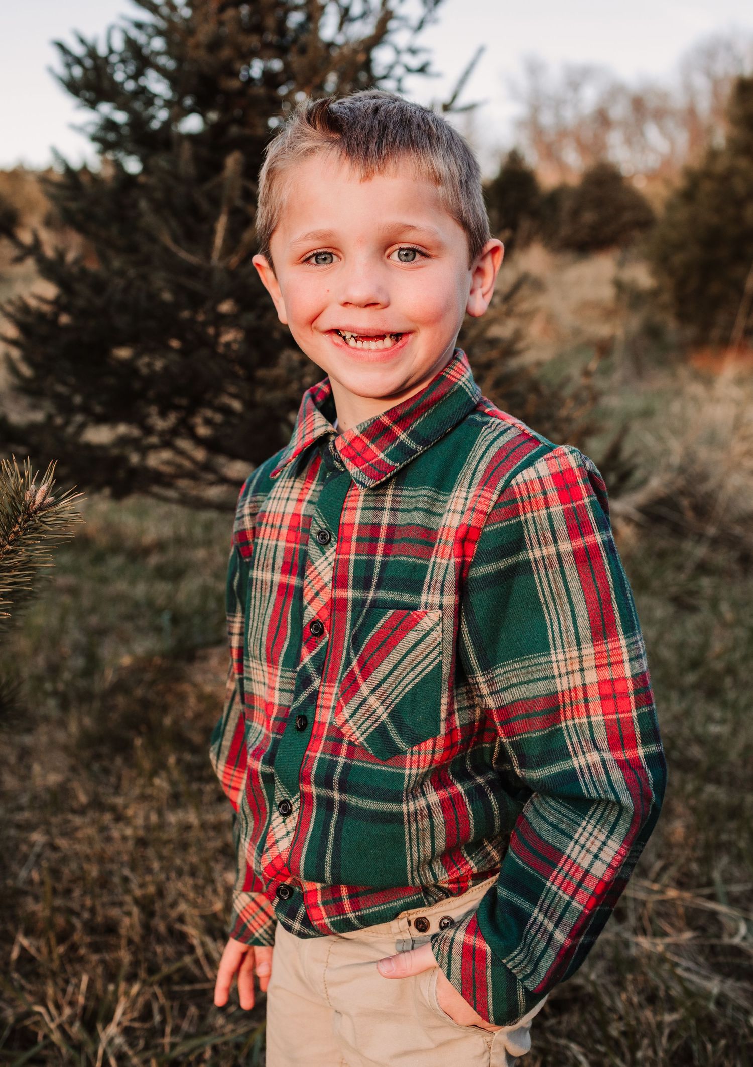 Happy young boy in green and red plaid shirt laughing outdoors at a Christmas tree farm.
