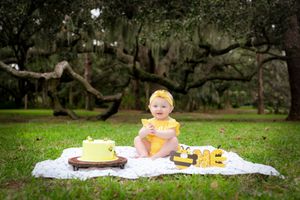 Northwest Arkansas Baby First Birthday Smash Cake Photographer