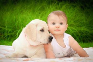 Northwest Arkansas Baby Photographer