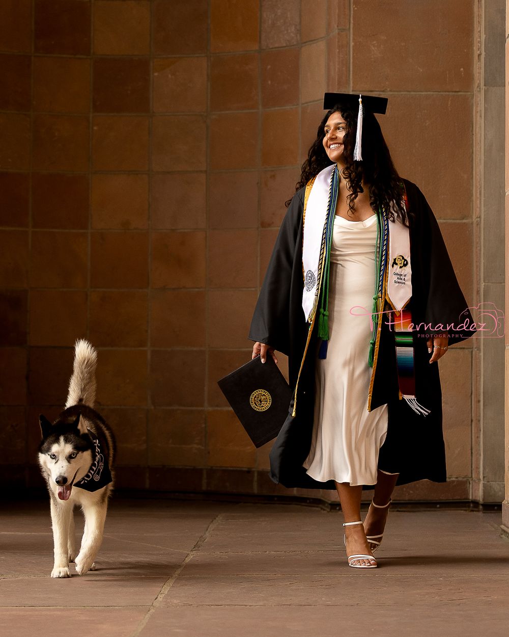 #DogPhotographer #PetPhotography #DogPortraits #PetPhotographer #ProfessionalPetPhotography #PetPortraits