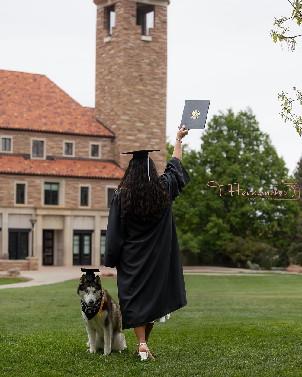 #DogPhotographer #PetPhotography #DogPortraits #PetPhotographer #ProfessionalPetPhotography #PetPortraits