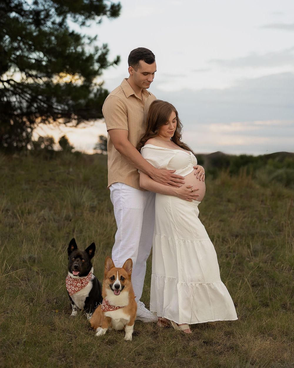 #DogPhotographer #PetPhotography #DogPortraits #PetPhotographer #ProfessionalPetPhotography #PetPortraits