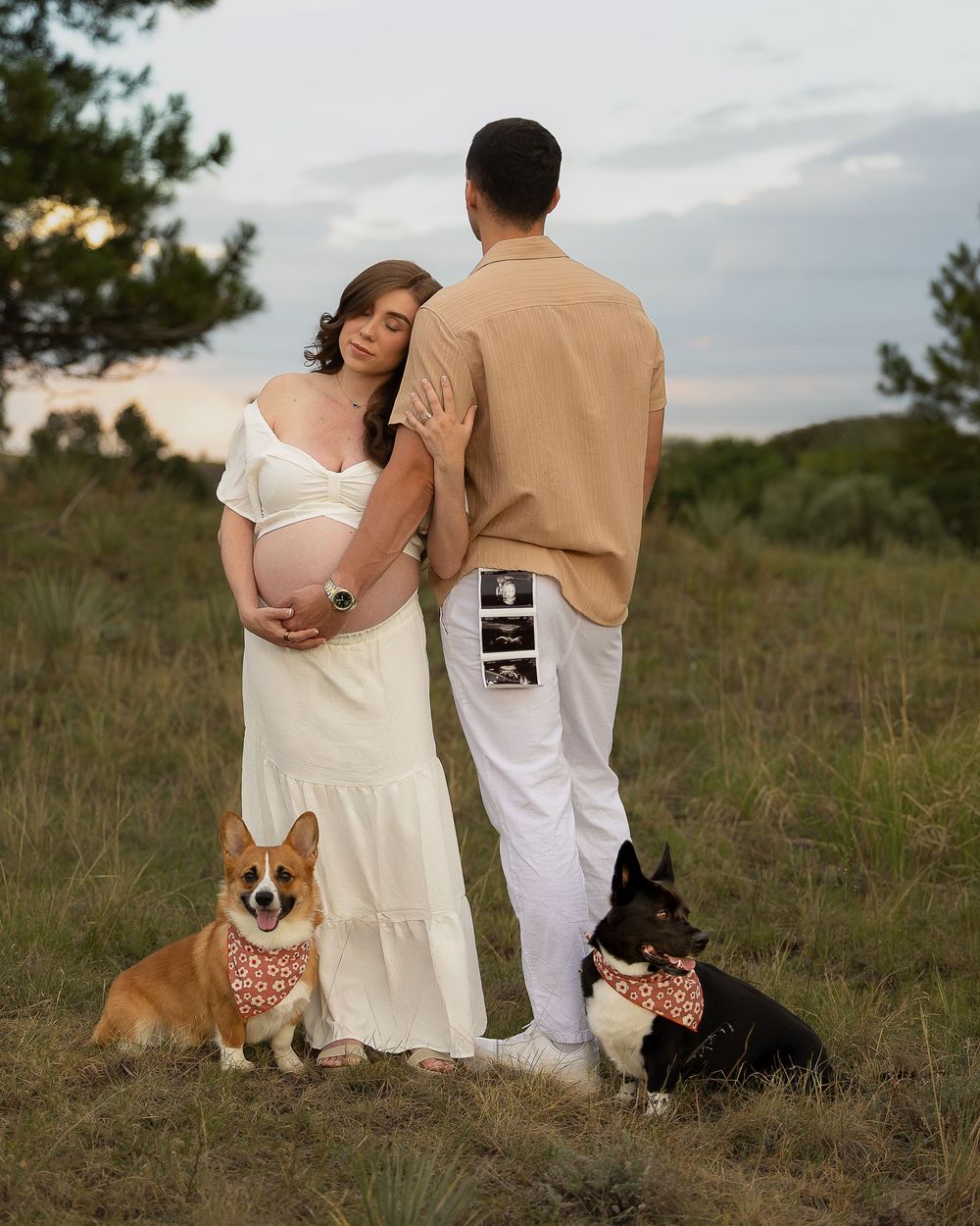 #DogPhotographer #PetPhotography #DogPortraits #PetPhotographer #ProfessionalPetPhotography #PetPortraits