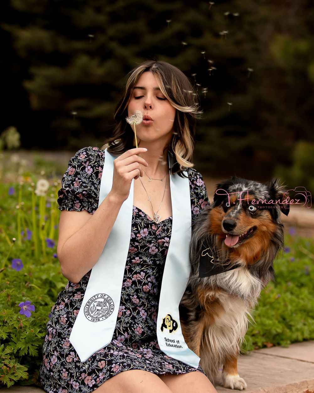 #petphotographer #dog #aussie #SouthCarolina #Colorado #Boulder
