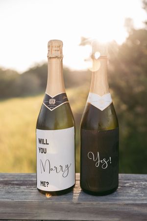 Champagne bottles with 'Will you marry me?' and 'Yes!' labels displayed in sunlight.