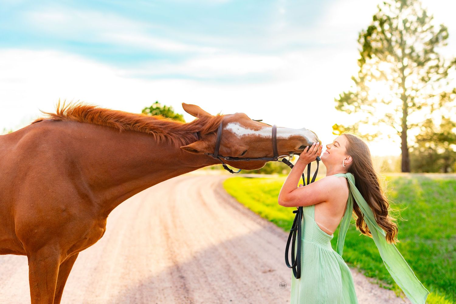 Parker Colorado equestrian photography