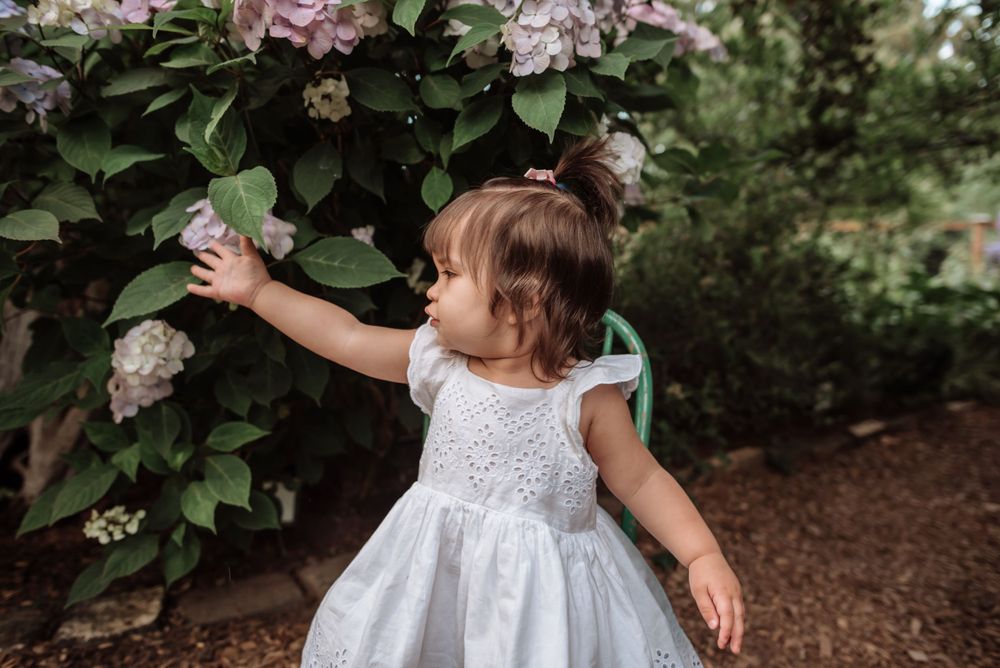 A small child in a white lace dress reaches up to touch blooming flowers in a garden.