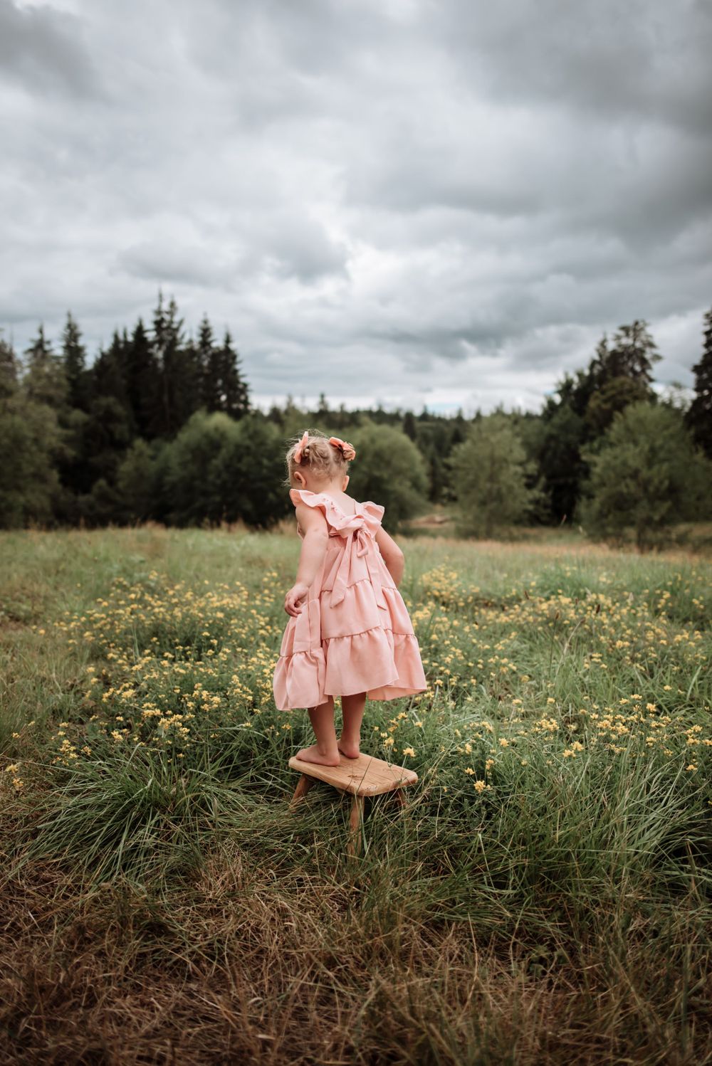 A pink-dressed figure stands on wooden stump in wildflower meadow with dramatic sky.