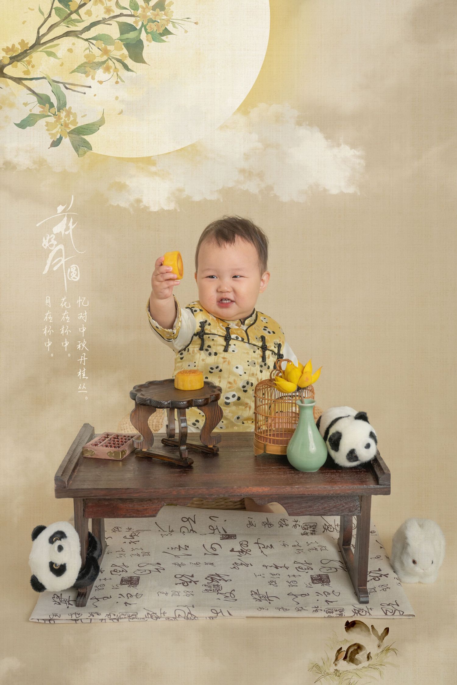 Seattle & Bellevue Newborn & Family Photographer, newborn ,redmond, mercer island, issaquah, sammamish, bothell, eastside,chinese