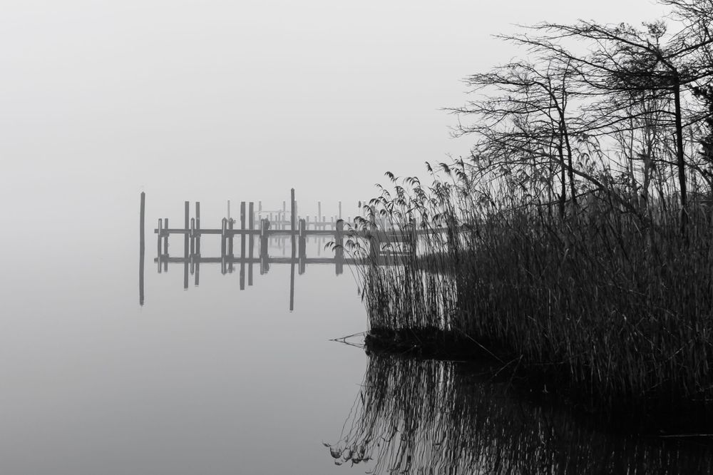 dock reflection on a foggy day along the Metedeconk River