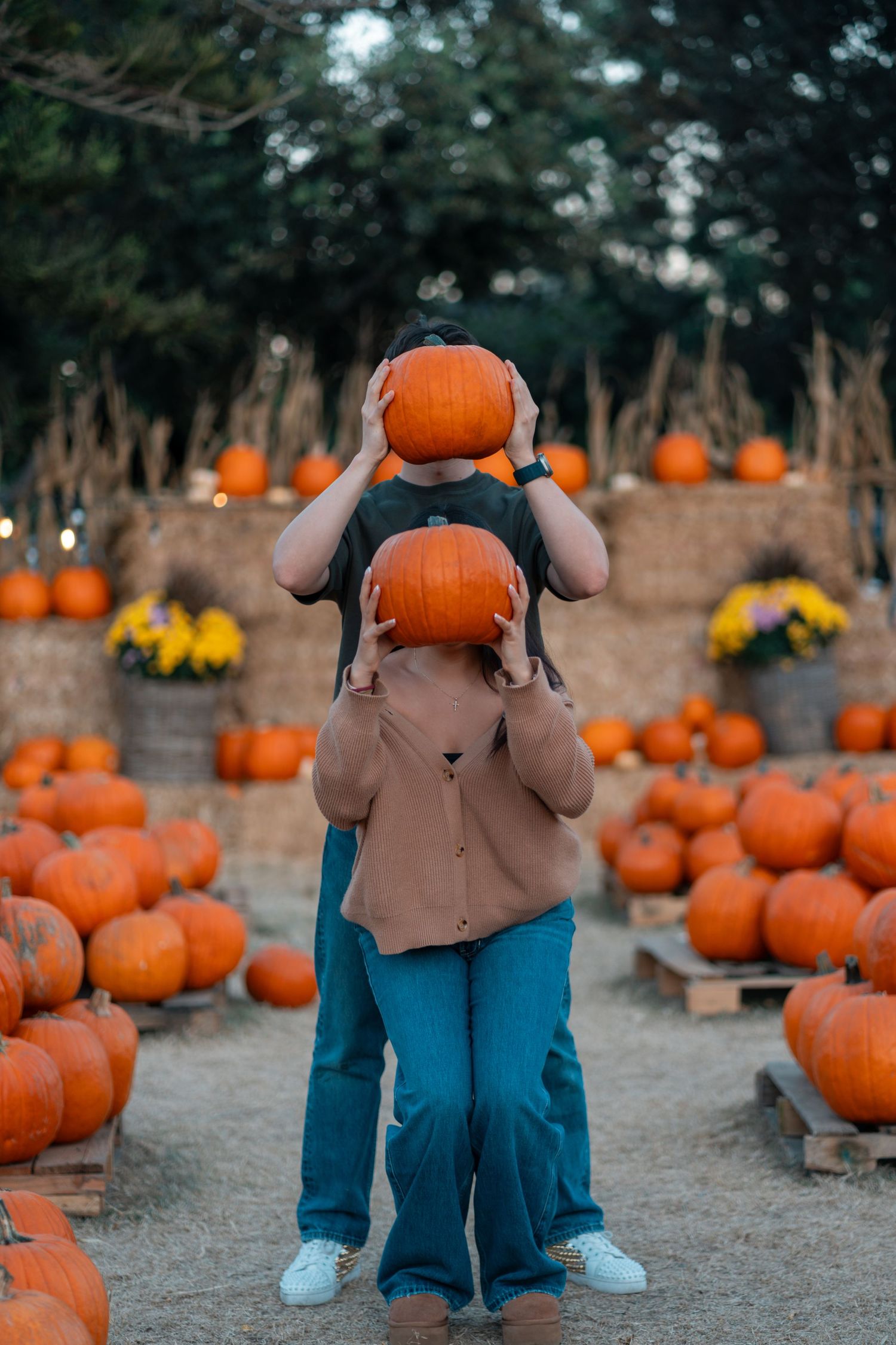 Creative autumn photoshoot featuring pumpkins in a pumpkin patch setting.