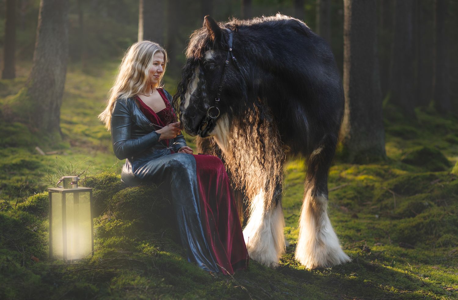 Enchanting forest scene featuring a Clydesdale horse with lantern glowing in mossy woodland.