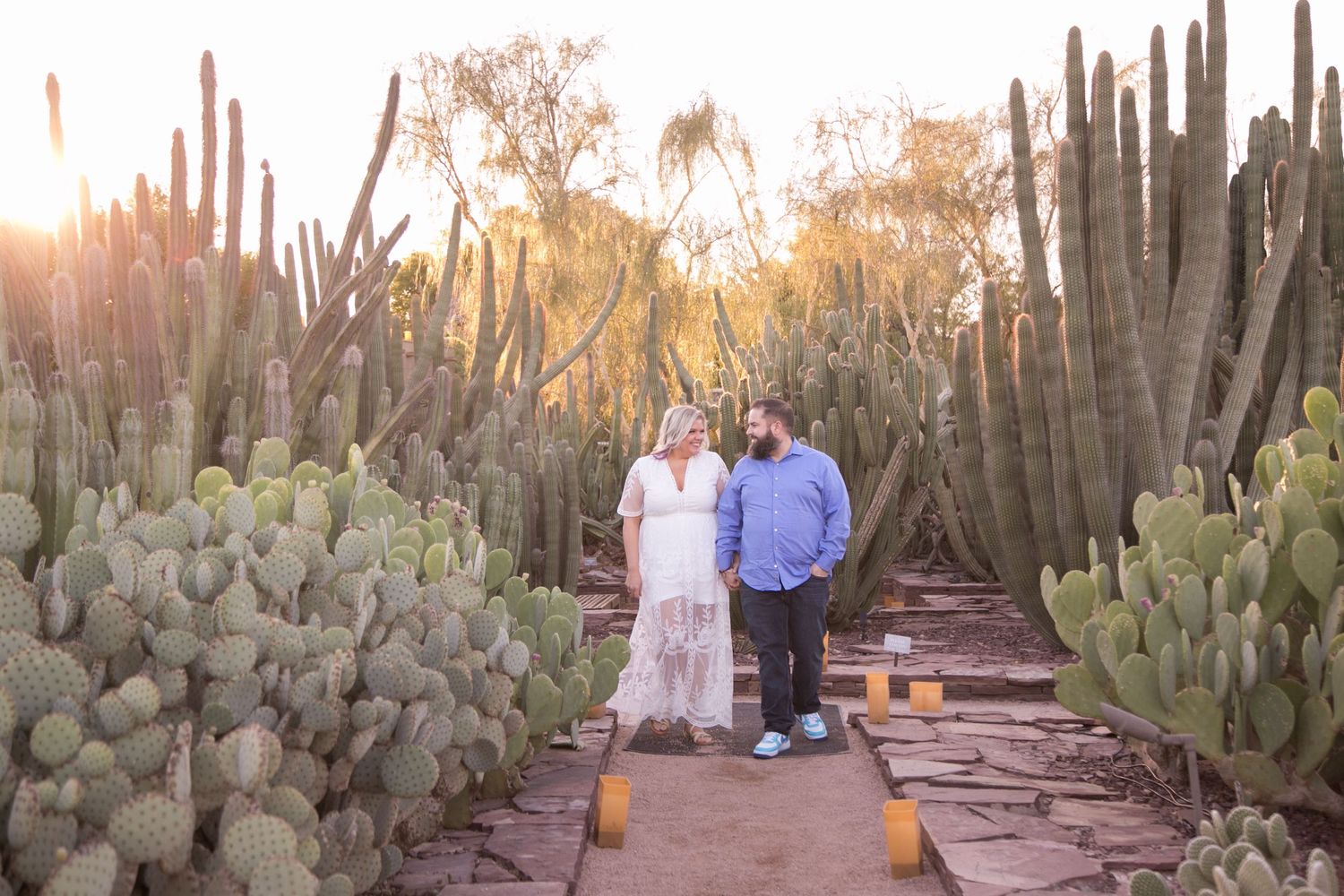 Couple walking through tall cactus garden at sunset golden light.