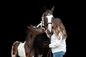 A piebald horse with distinctive markings stands in profile against a black background.