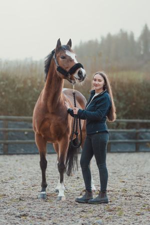 Person in dark clothing grooming a beautiful brown horse in an outdoor arena.