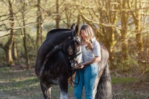 Enjoying outdoor autumn scenery with cob horse in wooded setting.