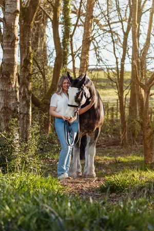 Horse and owner sharing a quiet moment in a sunlit forest clearing with tall trees.