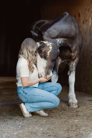 Close interaction between a horse and person in a stable setting with natural lighting.