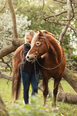 A chestnut horse stands among trees in a natural woodland setting wearing riding tack.