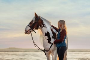 A skewbald horse stands on a beach at sunset with companion.