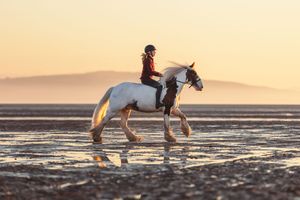 Horses galloping through shallow water at sunset along a scenic beach coastline.