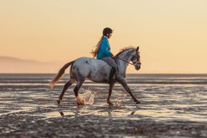 Riders on horseback splashing through ocean waves during golden hour.