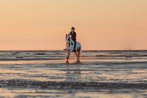 Silhouetted figures riding horses along the shoreline at dusk.