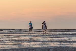 Distant view of horses and riders traversing a beach at sunset.