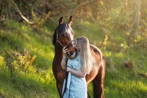A bay horse and companion share a tender moment on a sunny trail.