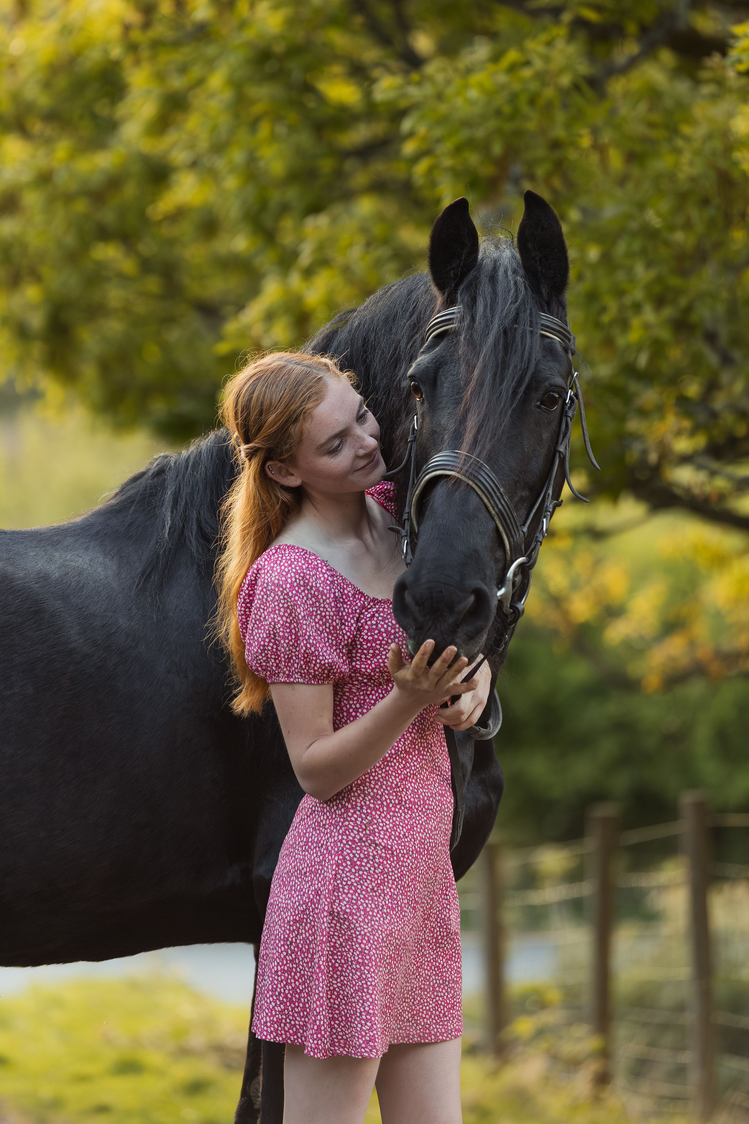 Friesian horse and person in pink dress sharing a tender moment in a sunlit field.