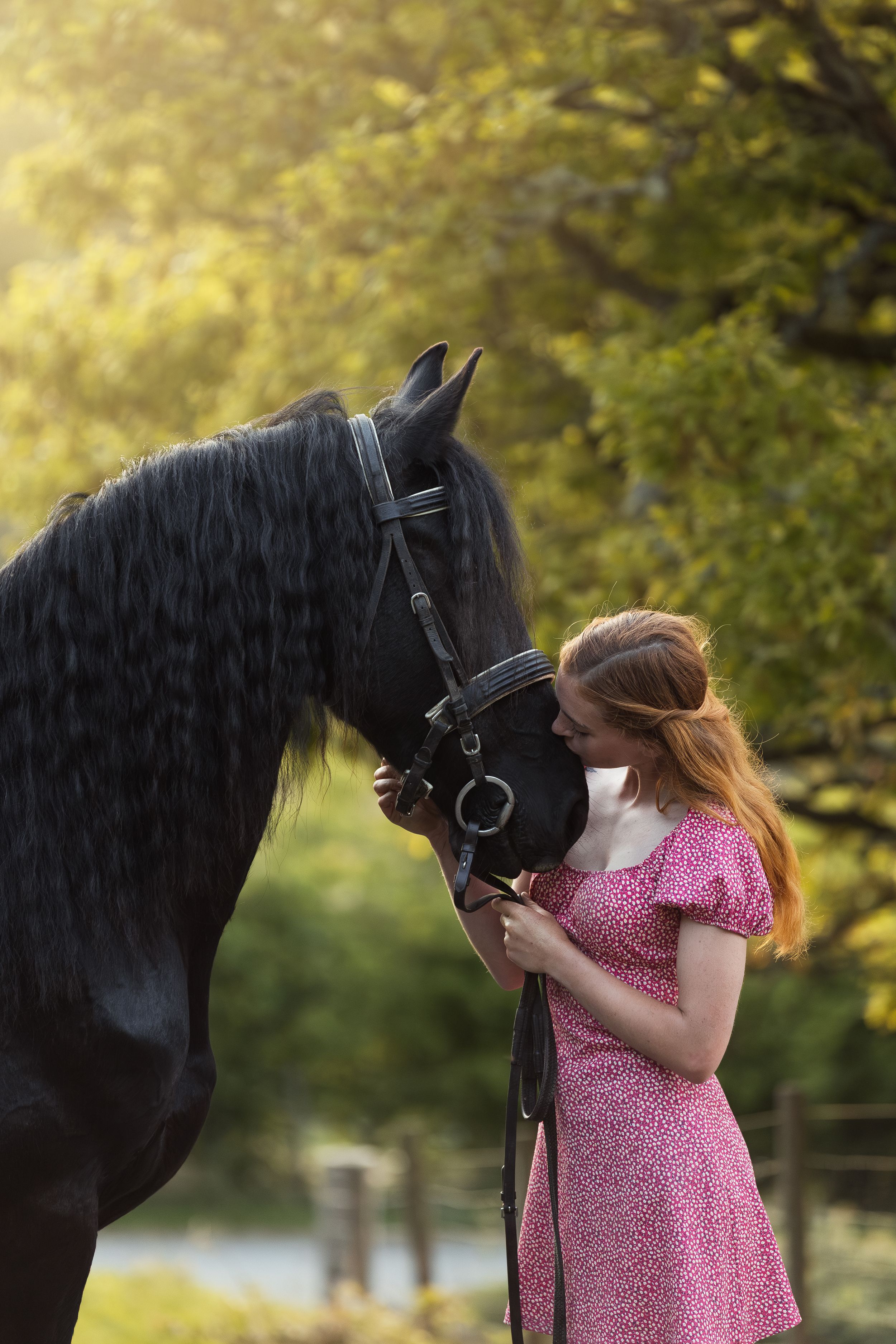 Friesian horse and person in pink dress interacting affectionately against autumn foliage.