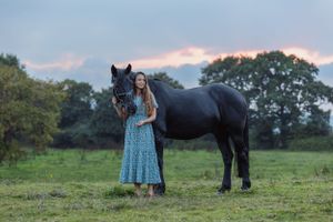 Horses and a dog gather in a pasture at sunset.