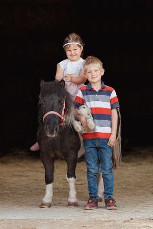A small pony poses with companions in an indoor arena against a dark background.