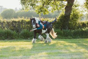 A black and white horse runs energetically through a green summer field.