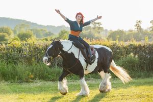 A black and white draft horse gallops through a sunny meadow.