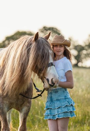 Cob horse being led through a wildflower meadow on a summer evening.
