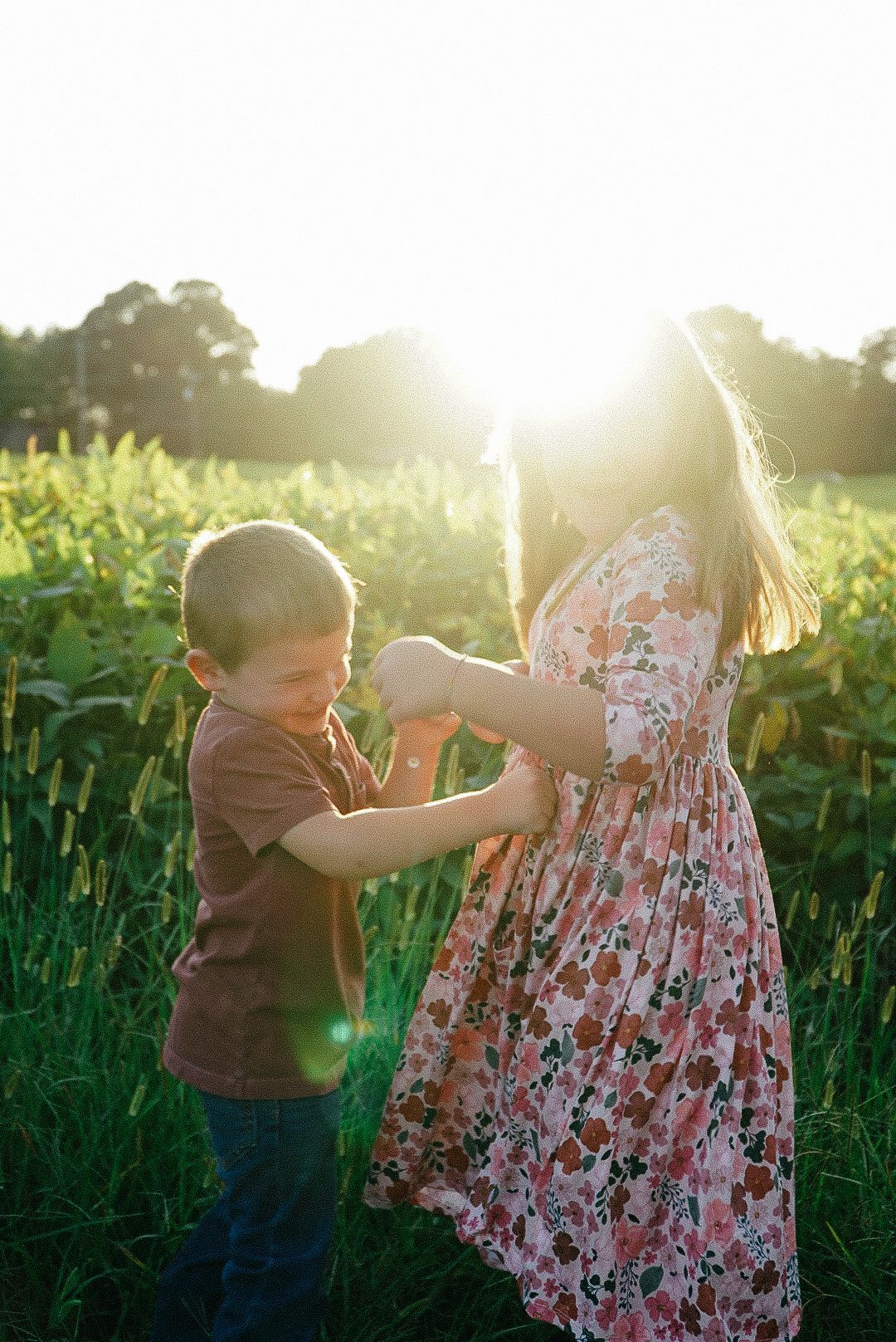 Dancing and twirling in a golden sunlit field during a summer evening.
