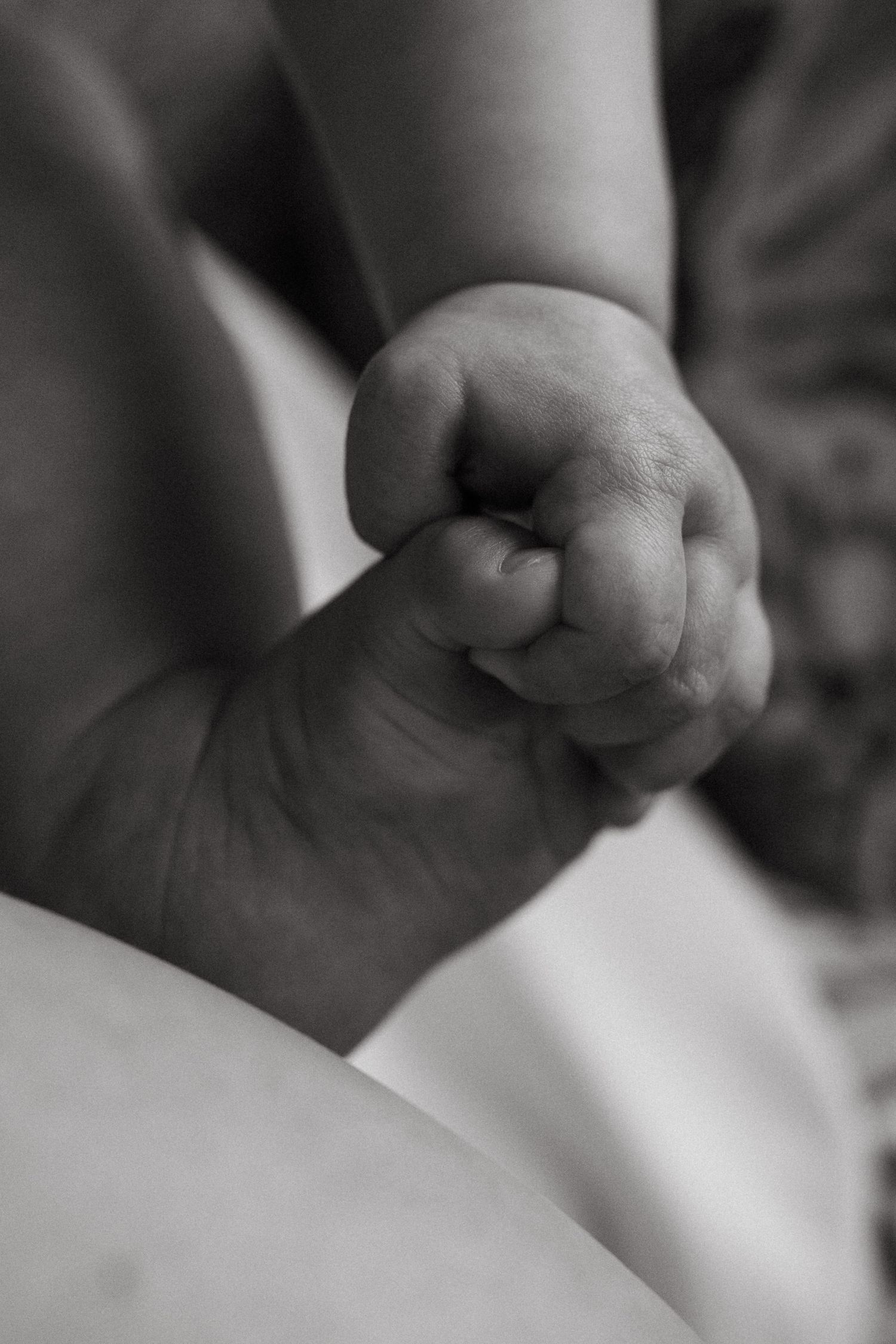 Black and white close-up series of tiny baby hands.