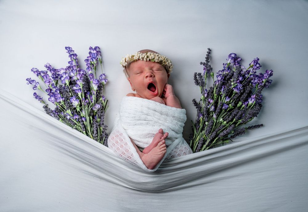 A sleeping newborn lies on white fabric surrounded by purple flowers in a window light composition.