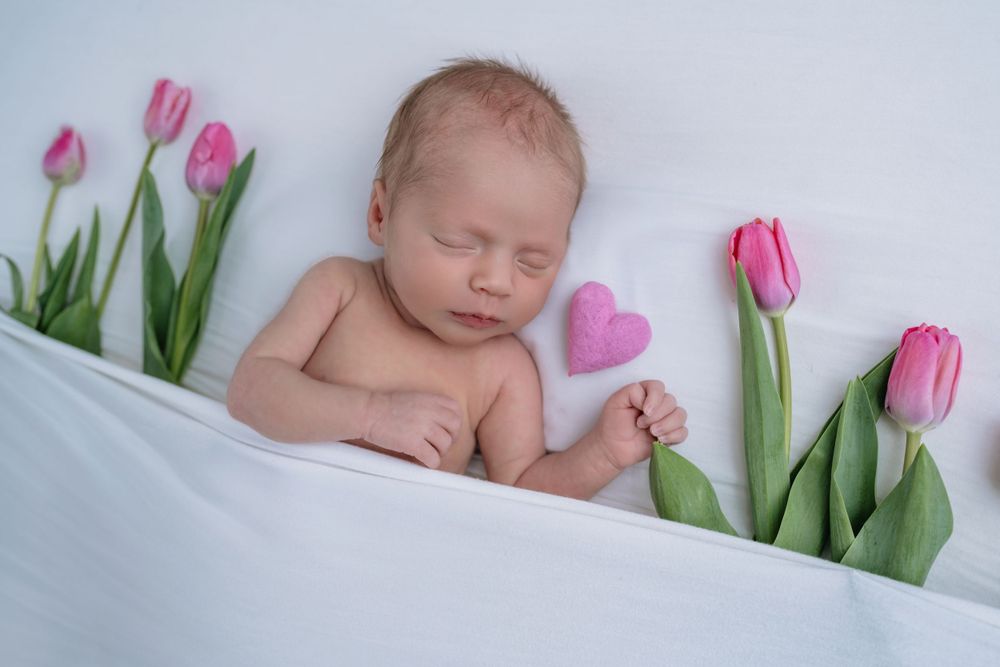 Sleeping newborn wrapped in pink blanket with pink tulips arranged artistically around them in soft light.