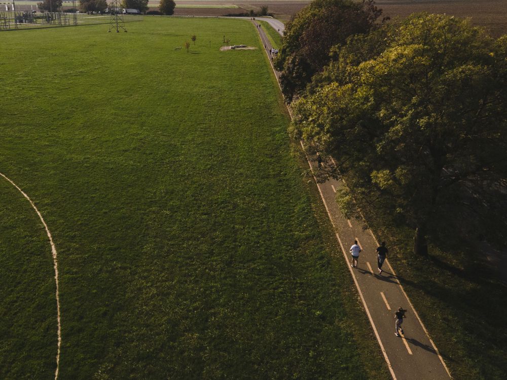 Aerial view of a green sports field bordered by trees and a walking path.