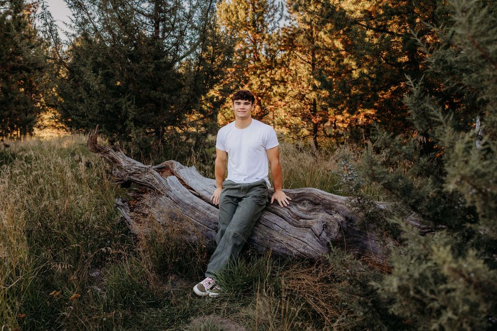 Someone sits on a fallen log at sunset in a forest clearing surrounded by evergreen trees and golden light.