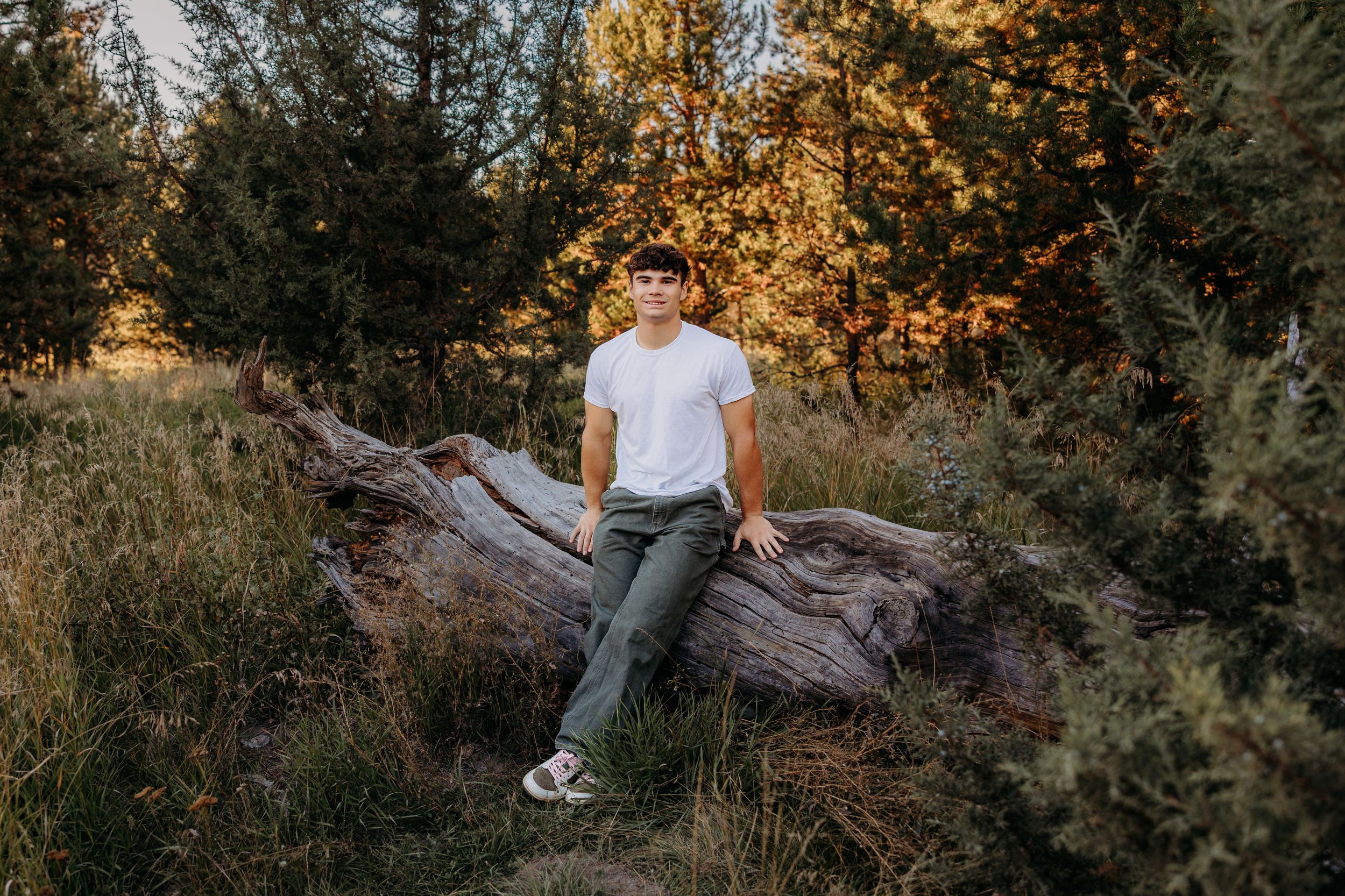 Someone sits on a fallen log at sunset in a forest clearing surrounded by evergreen trees and golden light.