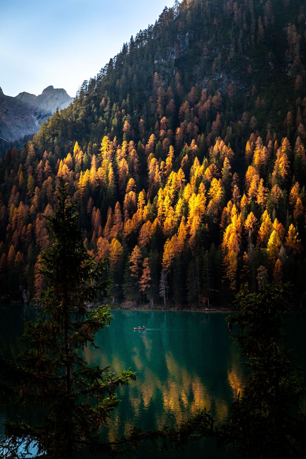 Scenic mountain lake surrounded by golden autumn larches and evergreen trees reflecting in turquoise waters at sunset.